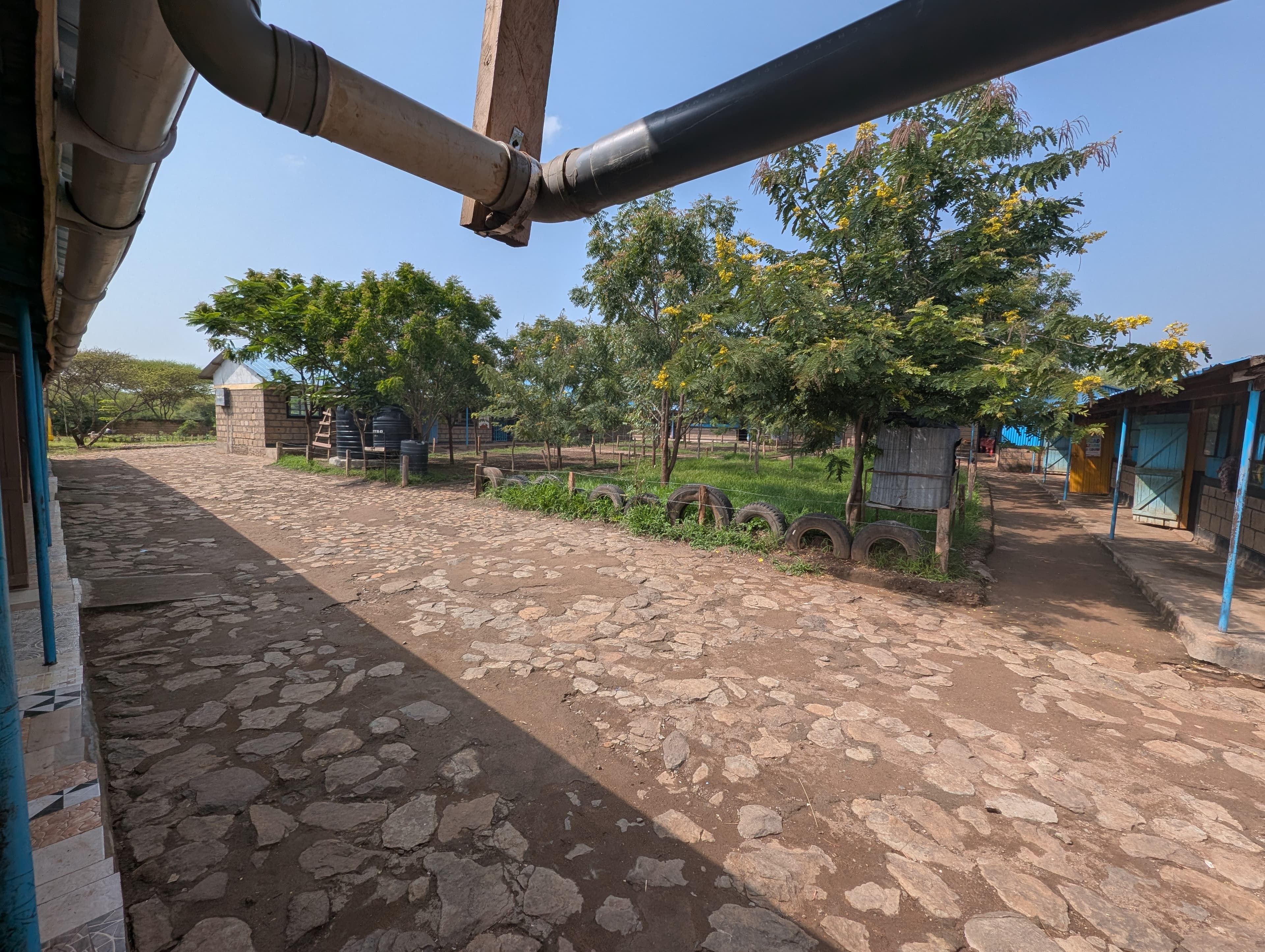 Main school view with trees